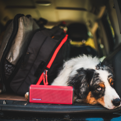 Frei 16W RMS Taşınabilir Bluetooth TWS 8 Saat Dinleme Süresi Mavi - 10