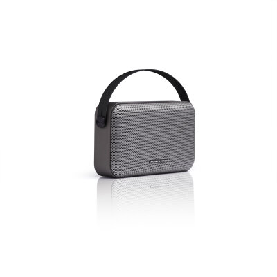 Ziegel 30W RMS Taşınabilir Bluetooth TWS 30 Saat Dinleme Süresi  Gri Renk - 4