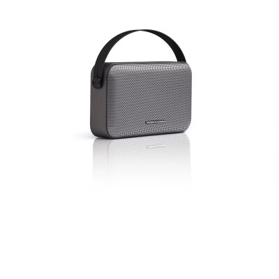 Ziegel 30W RMS Taşınabilir Bluetooth TWS 30 Saat Dinleme Süresi  Gri Renk - 5